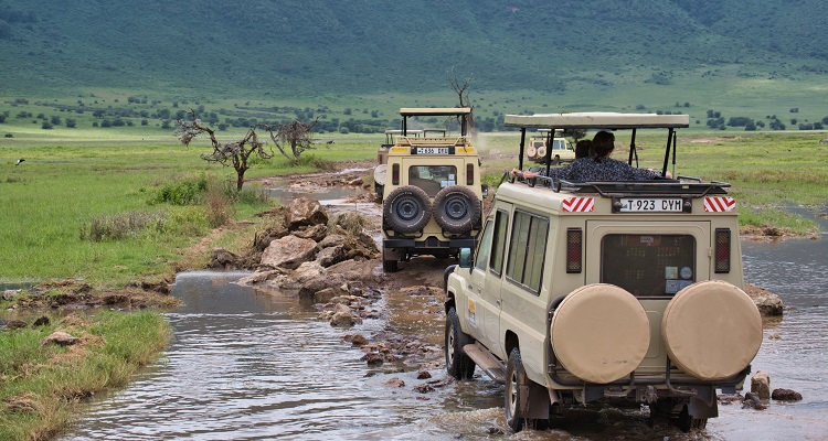 Africa trips safari